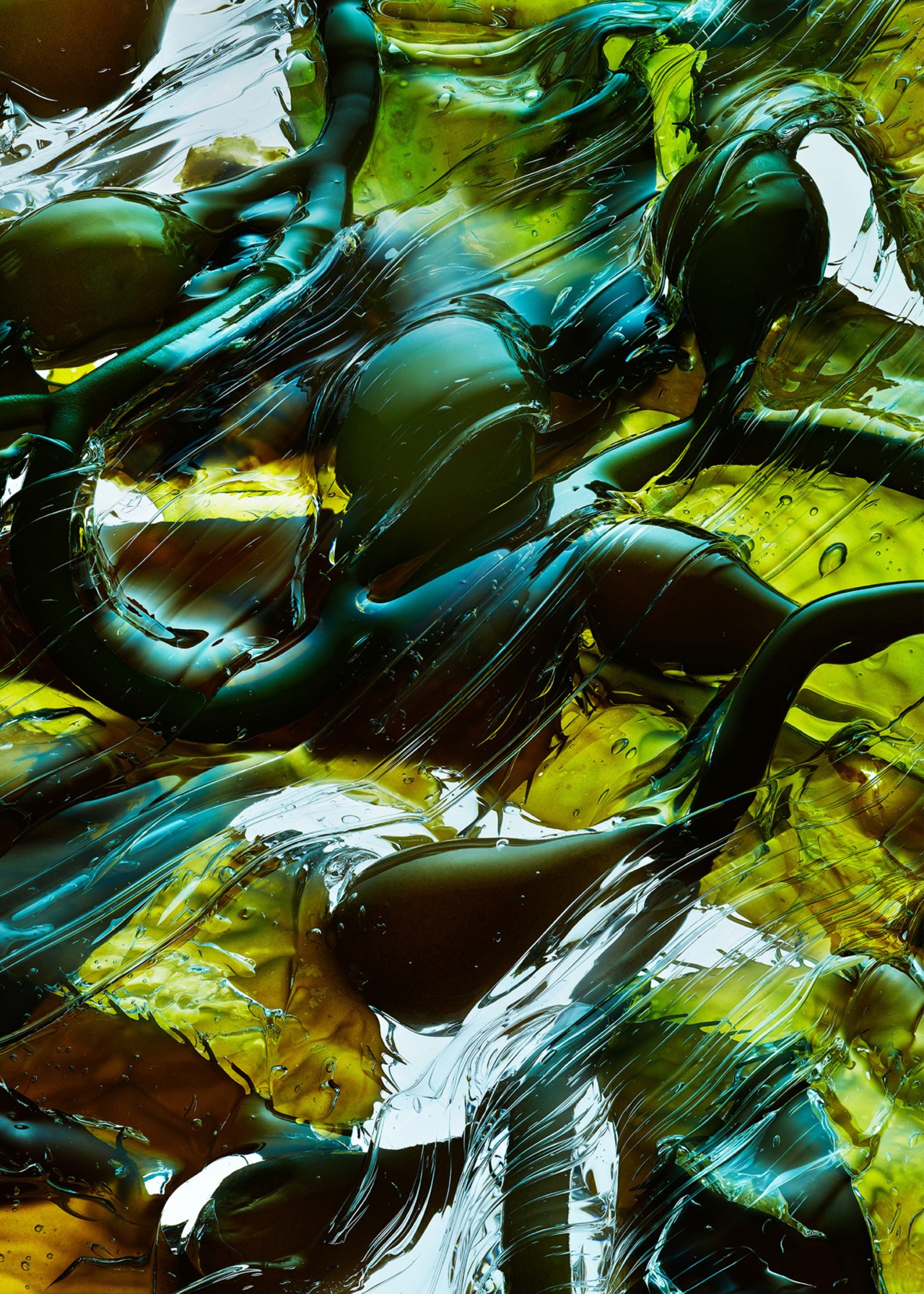 Green blue algae texture fabric by Nicholas Alan Cope