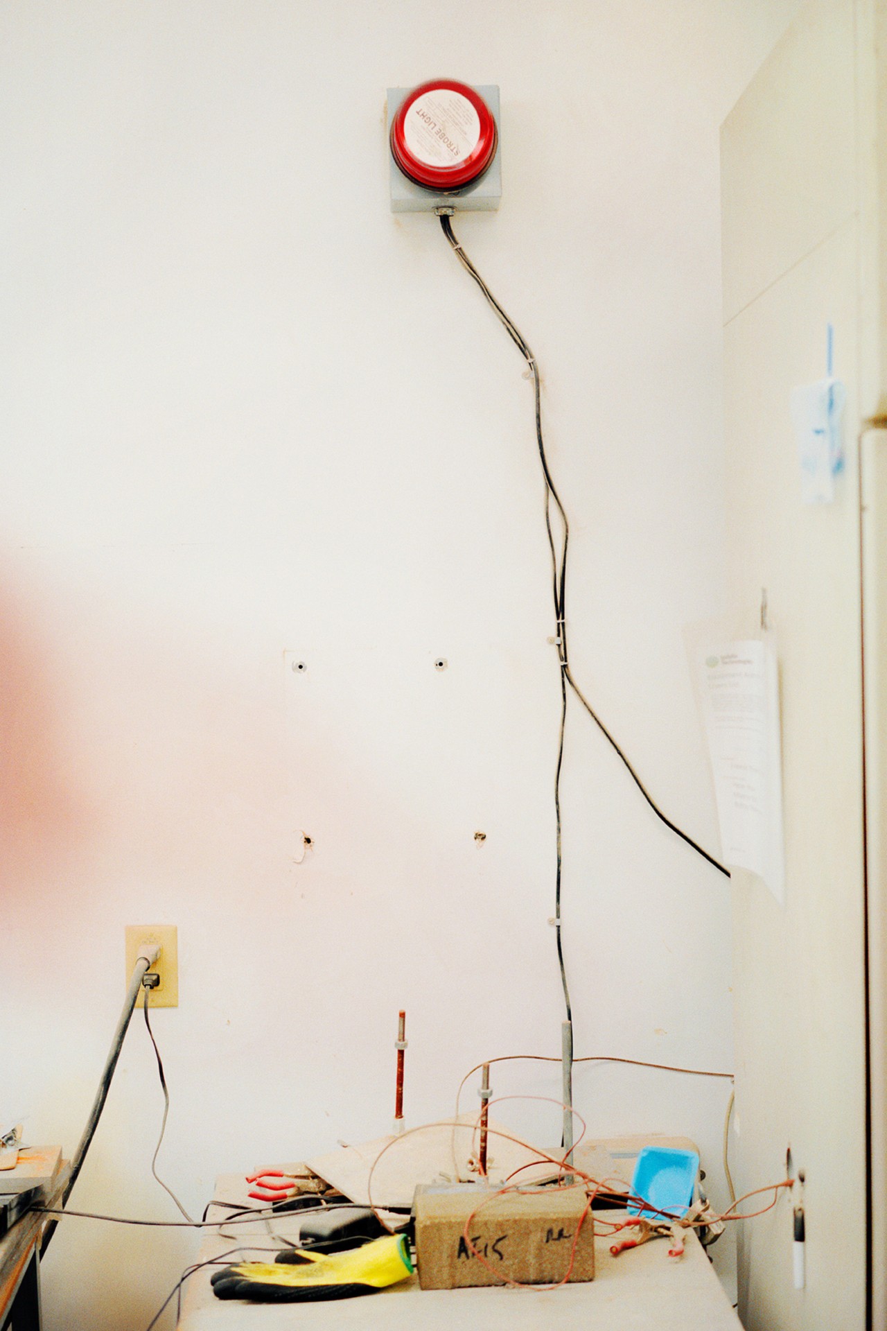 Carbon Sequestration Startup by Adam Kremer