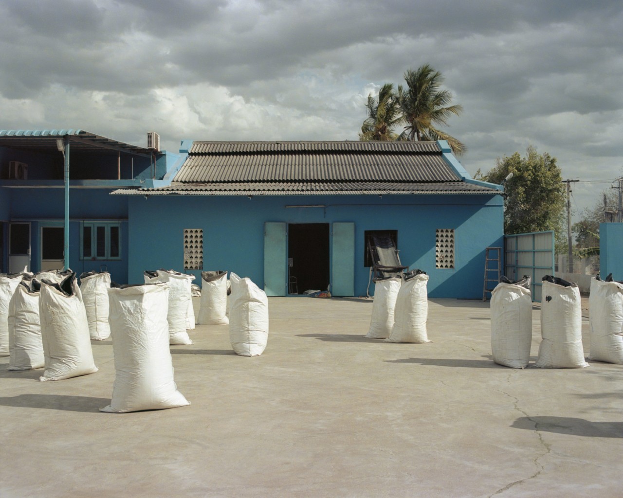 Indigo dye manufacuturing in India by Ashish Shah