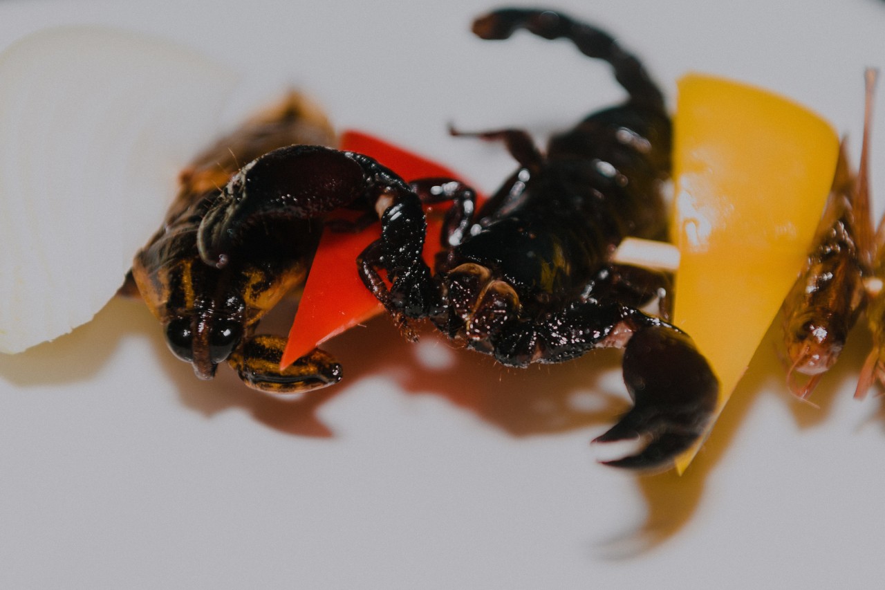 A scorpion on a skewer with vegetables at Bug Cafe in Siem Reap Cambodia by Rishabh Malik