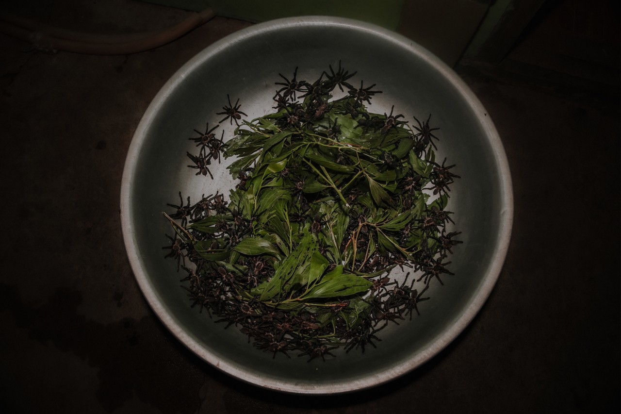 A bowl of spiders and green vegetables at Bug Cafe in Siem Reap Cambodia by Rishabh Malik