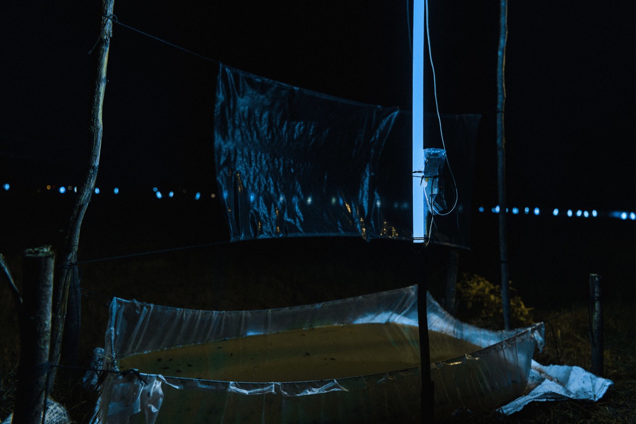 A fluorescent light lights a plastic sheet to trap crickets at night in Kampong Thom Cambodia by Rishabh Malik
