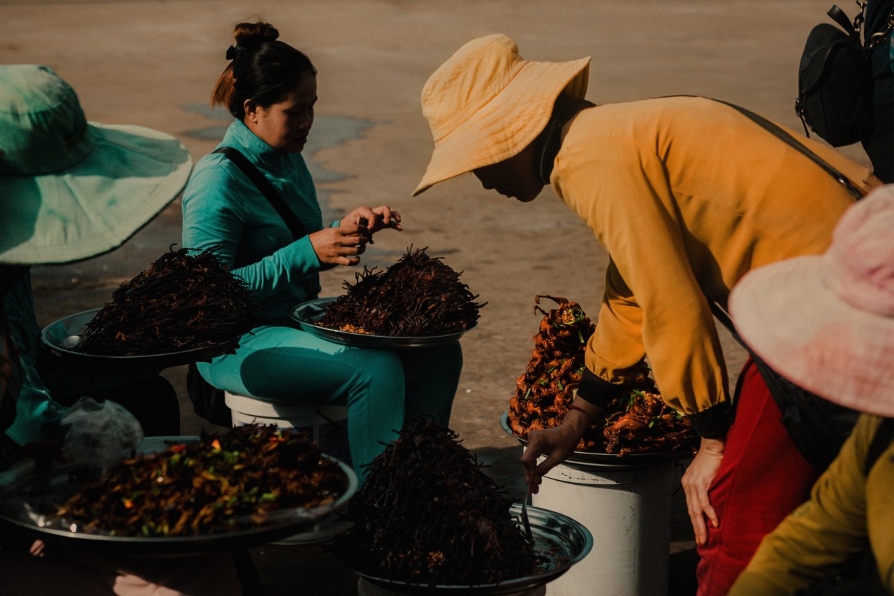 Vendors sell insects in large bows at a rest stop near Skuon Cambodia by Rishabh Malik
