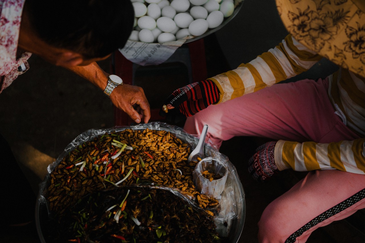 A bowl of insects for sale at a rest stop in Skuon Cambodia by Rishabh Malik