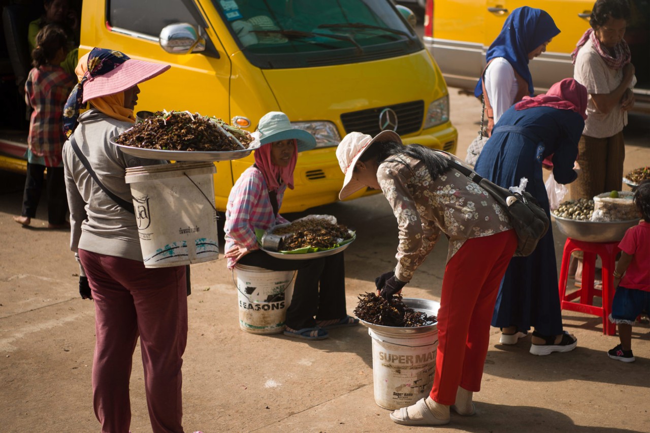 Vendors sell insects in large bows at a rest stop near Skuon Cambodia by Rishabh Malik