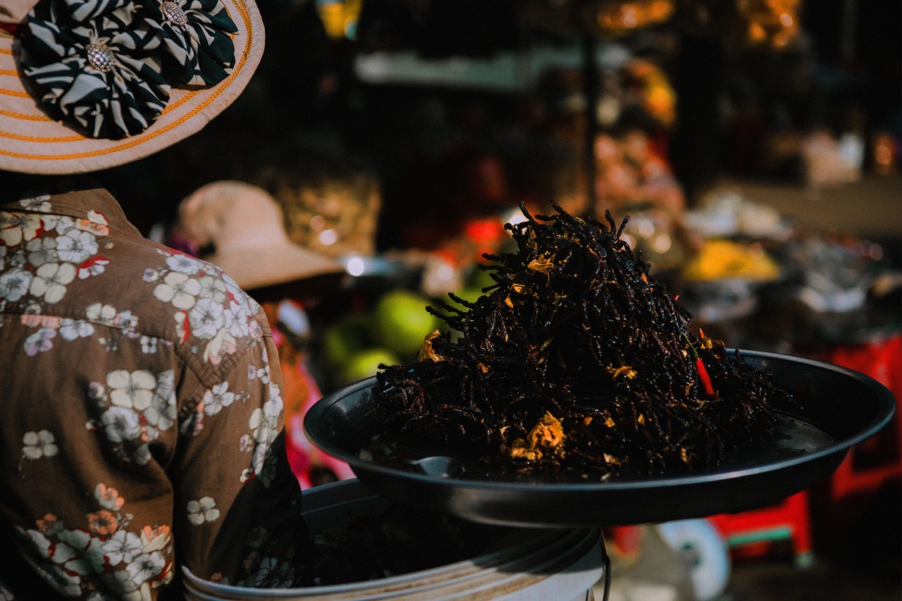 A woman carries a large bowl of insects for sale at a rest stop in Skuon Cambodia by Rishabh Malik