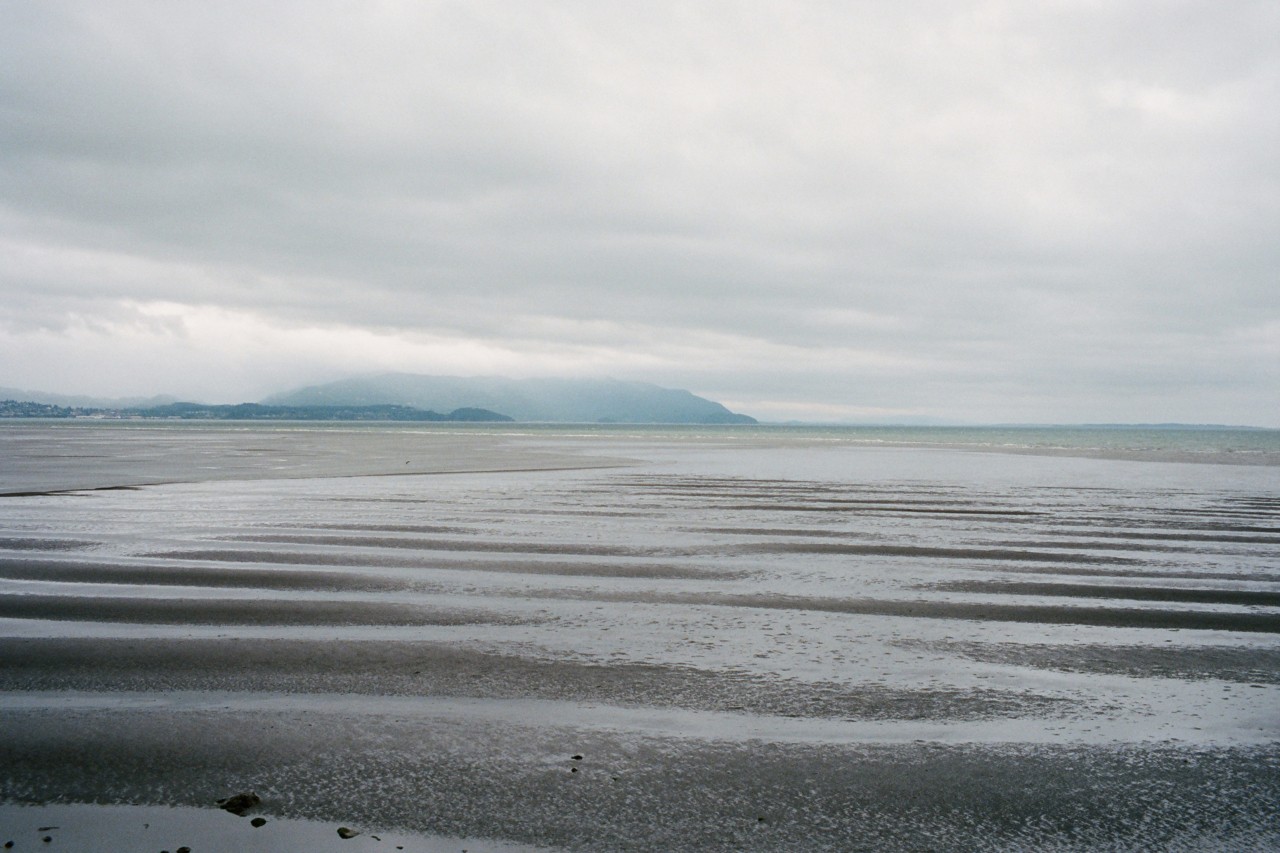 Salish Sea beach at low tide by Max Farago