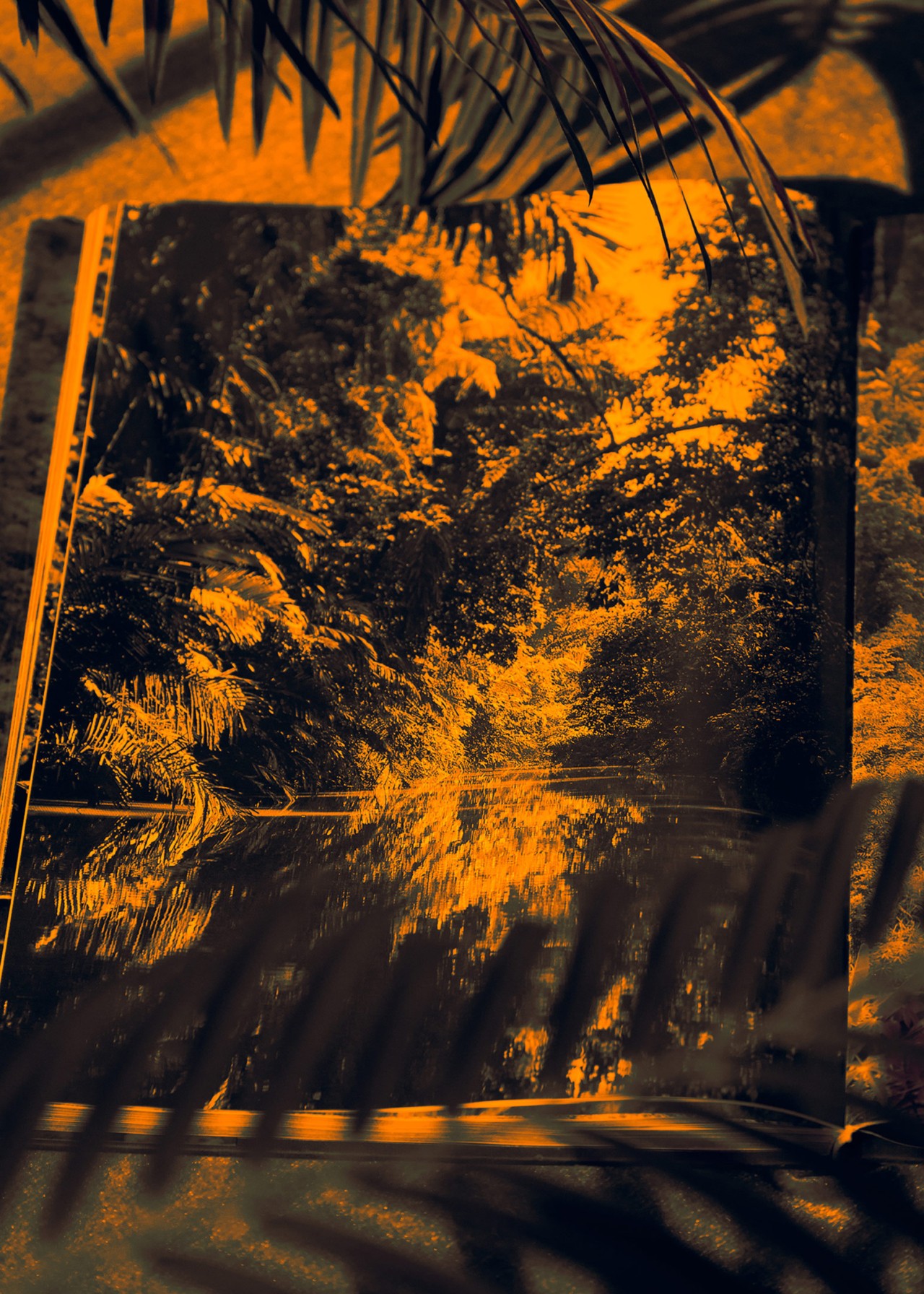 Forest with orange color tint representing palm oil deforestation by Thomas Albdorf