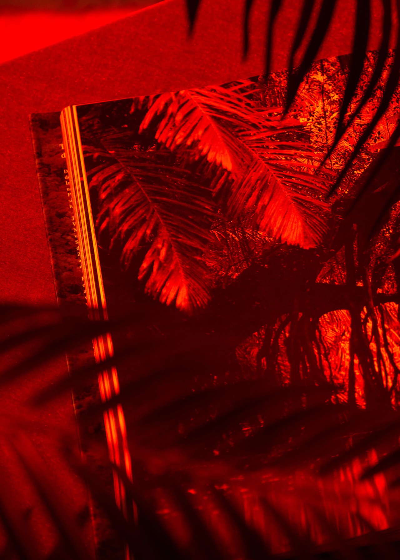 Forest with red color tint representing palm oil deforestation by Thomas Albdorf