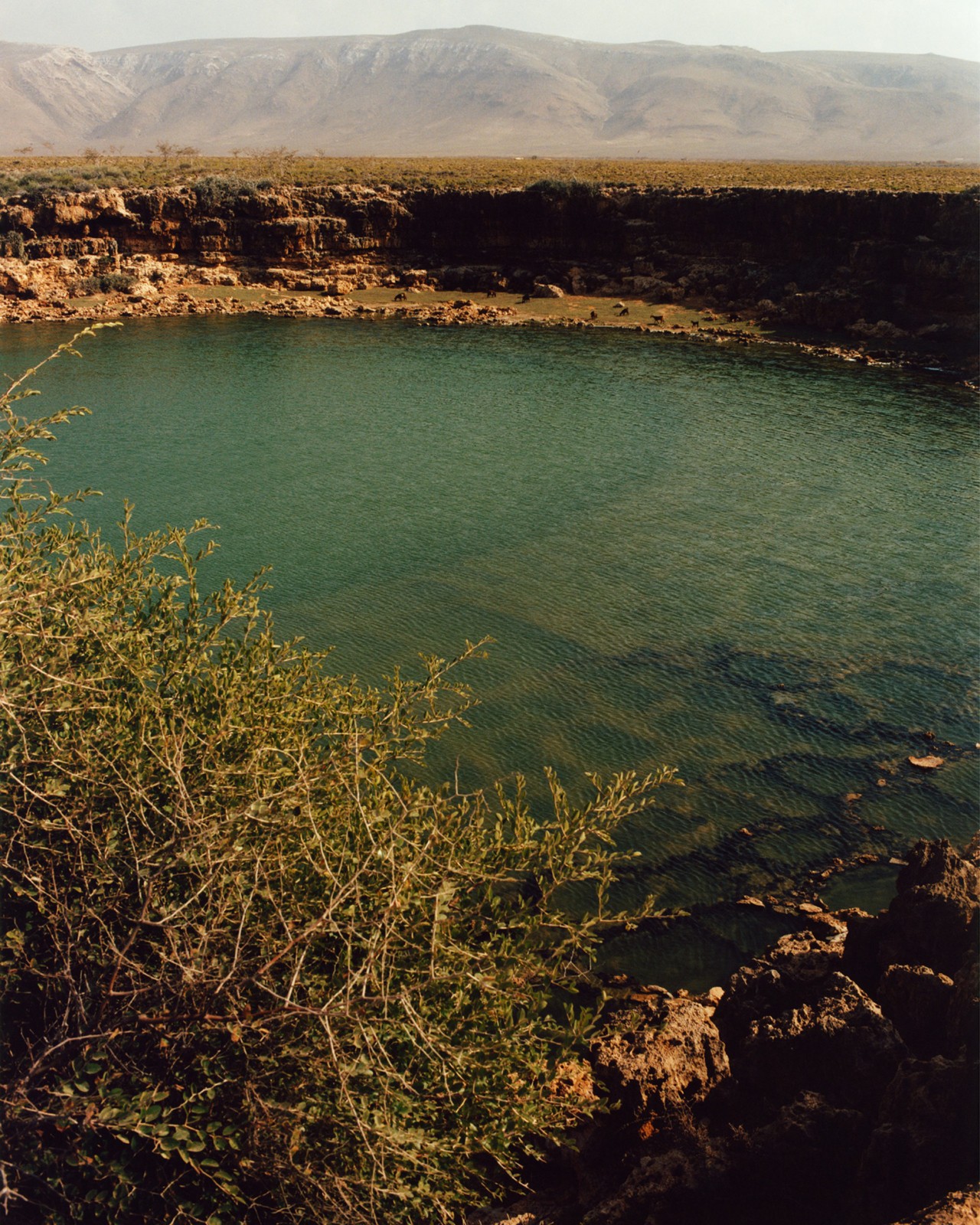 Natural pool of water in Socotra Yemen by Jamie Hawkesworth