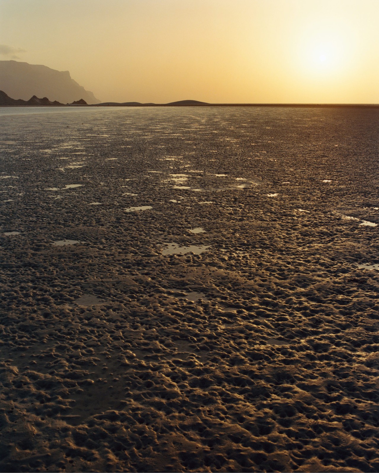 Socotra Yemen by Jamie Hawkesworth
