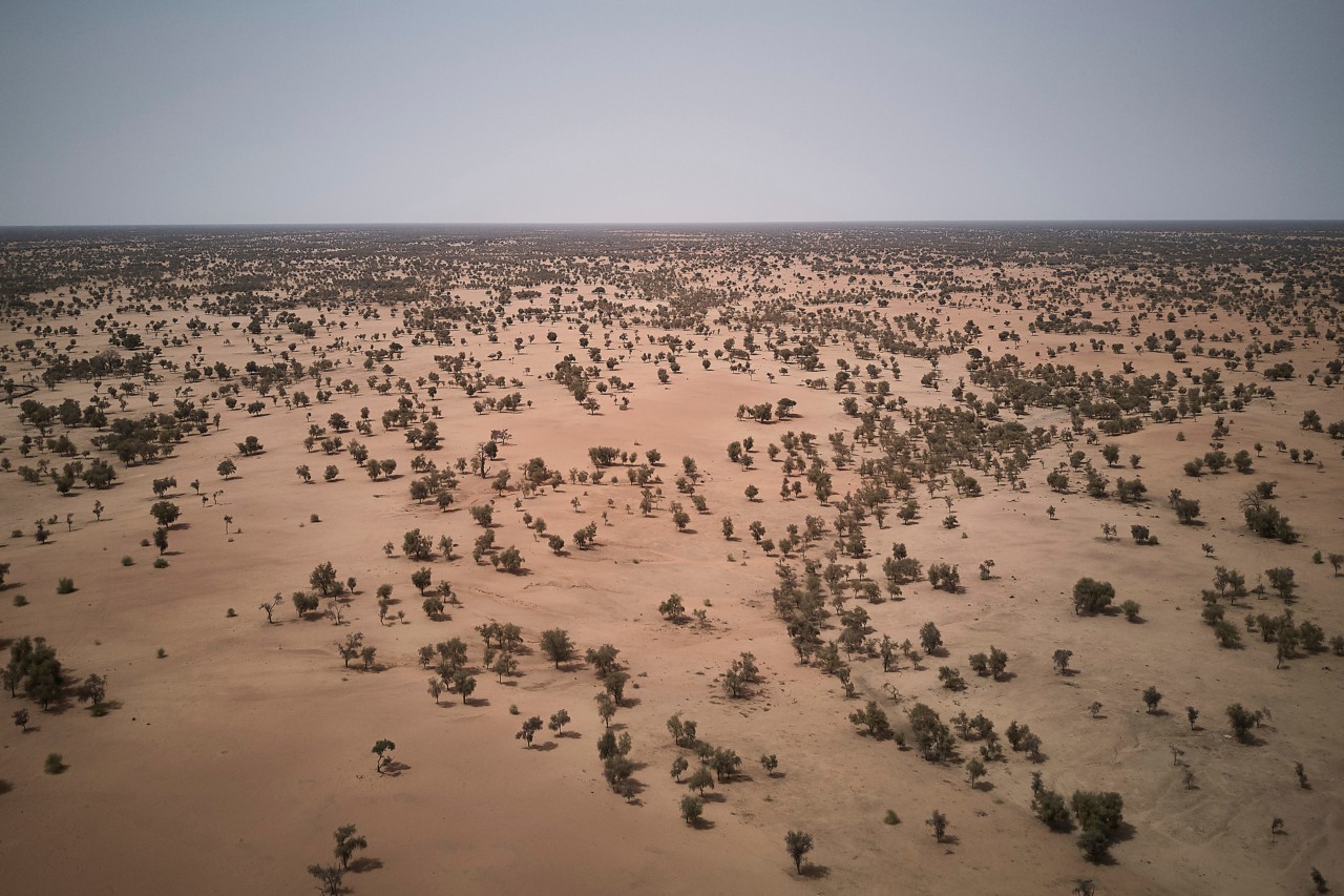 Richard Misrach