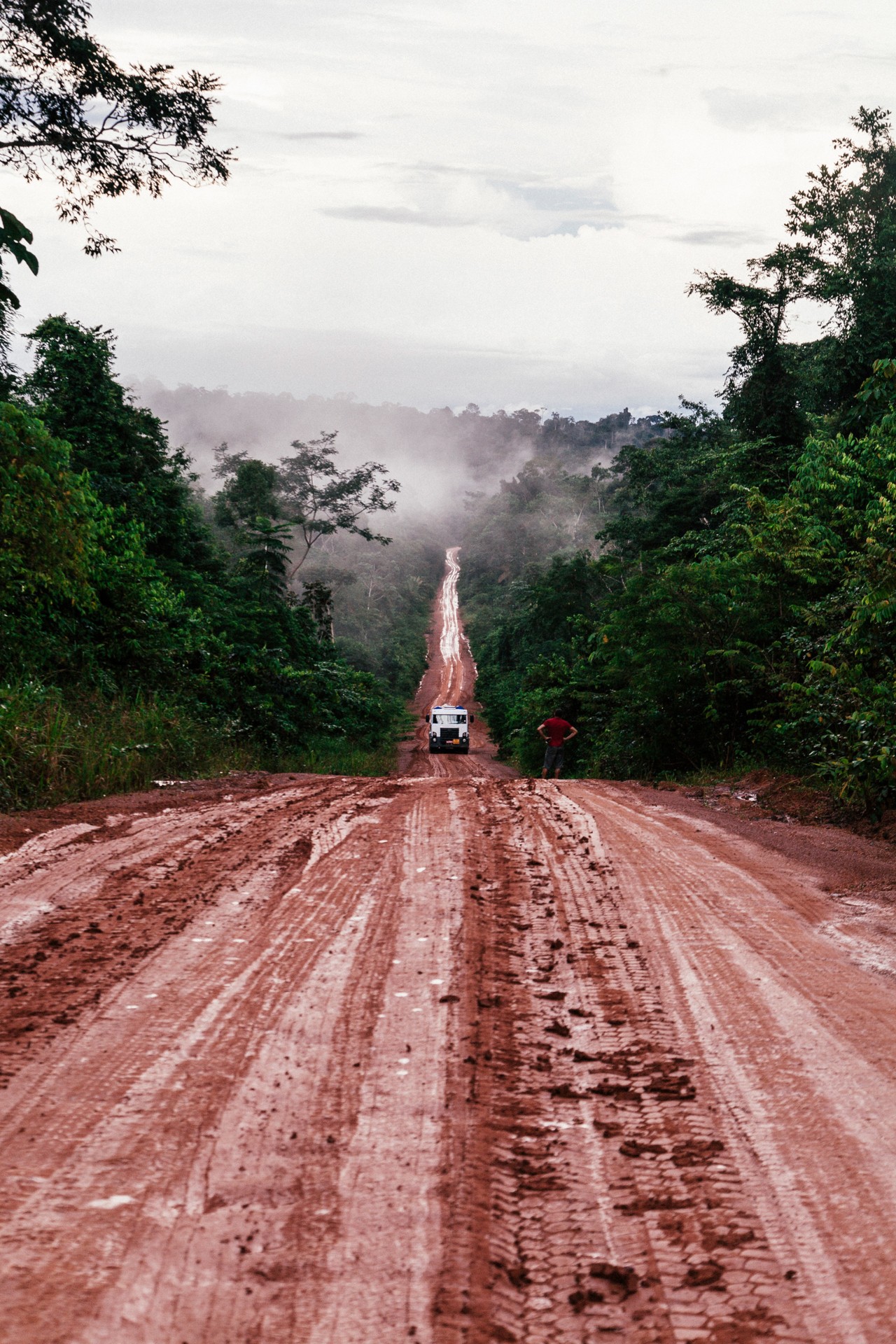 Mud road in the Amazon rainforest by Liliana Merizalde