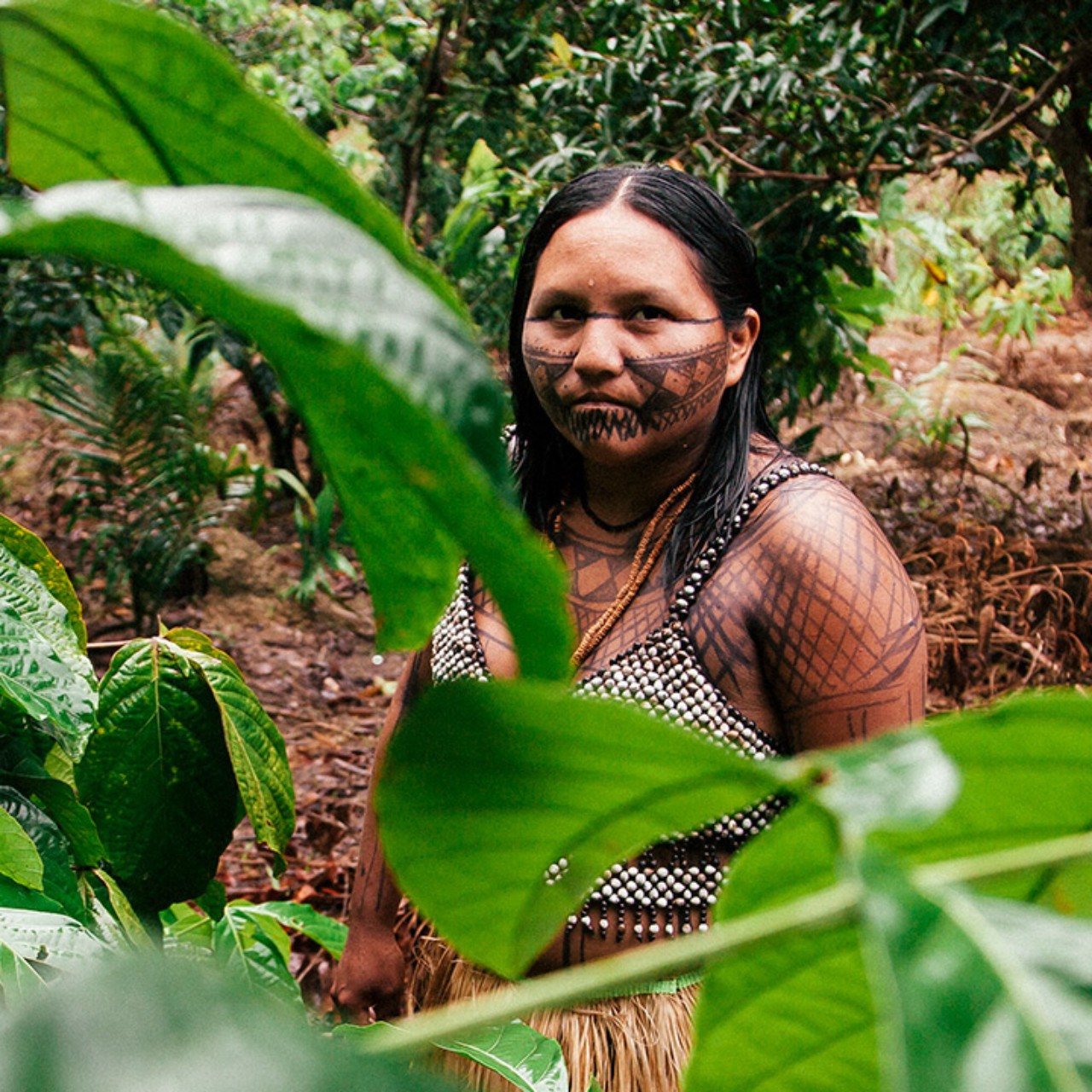 Amazon activist Maria Leusa Munduruku in the forest by Liliana Merizalde