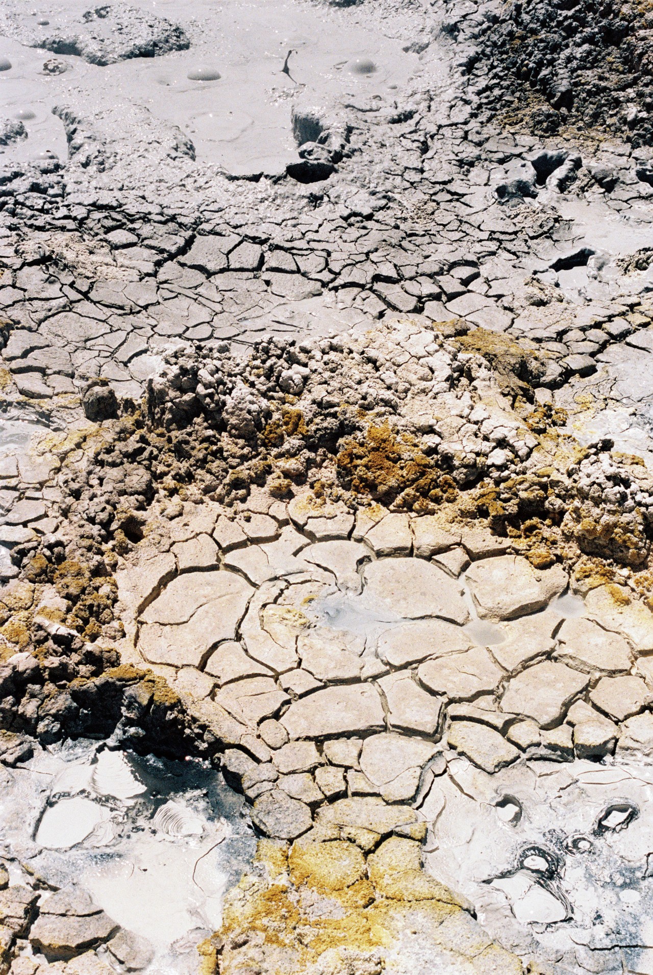 Atacama Desert soil by Jess Gough