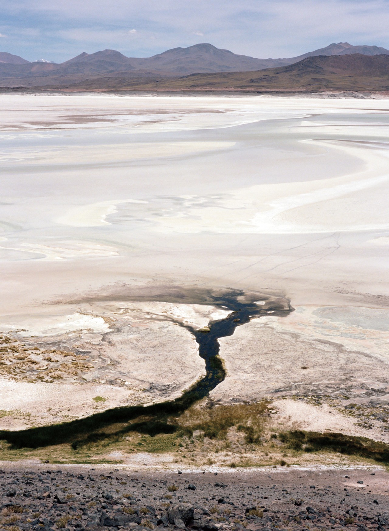 Atacama Desert tributary by Jess Gough