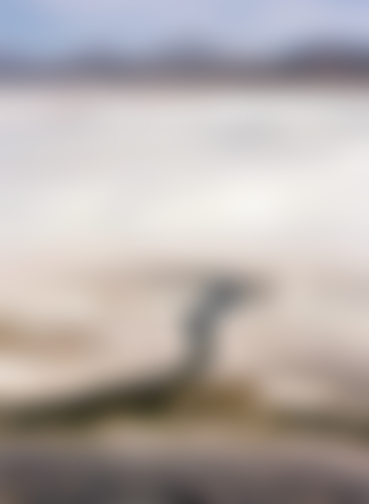 Atacama Desert tributary by Jess Gough