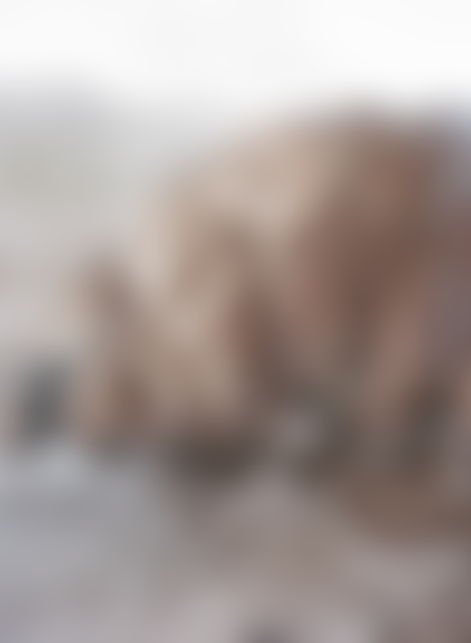 Atacama Desert by Jess Gough
