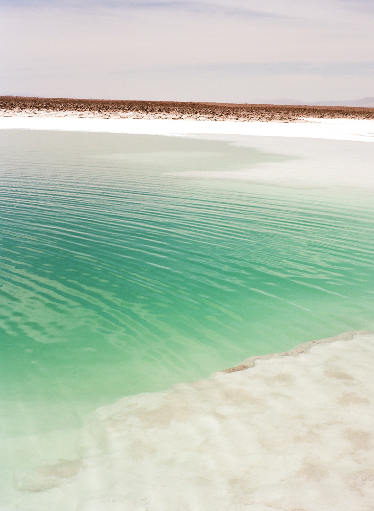 Atacama Desert water by Jess Gough