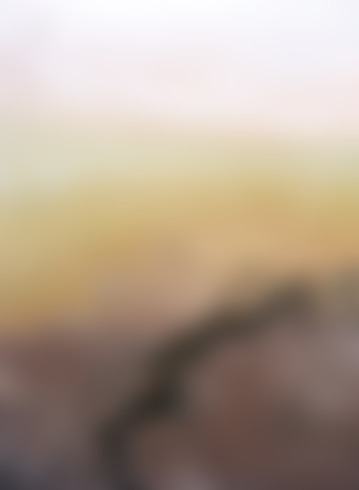 Atacama Desert by Jess Gough