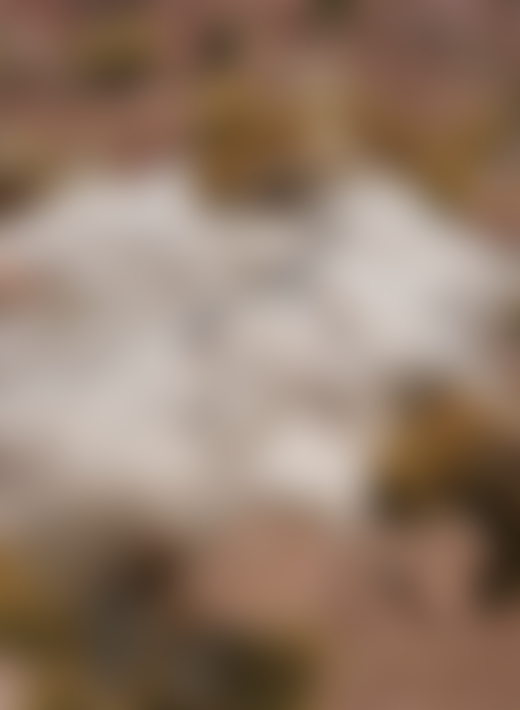Atacama Desert by Jess Gough