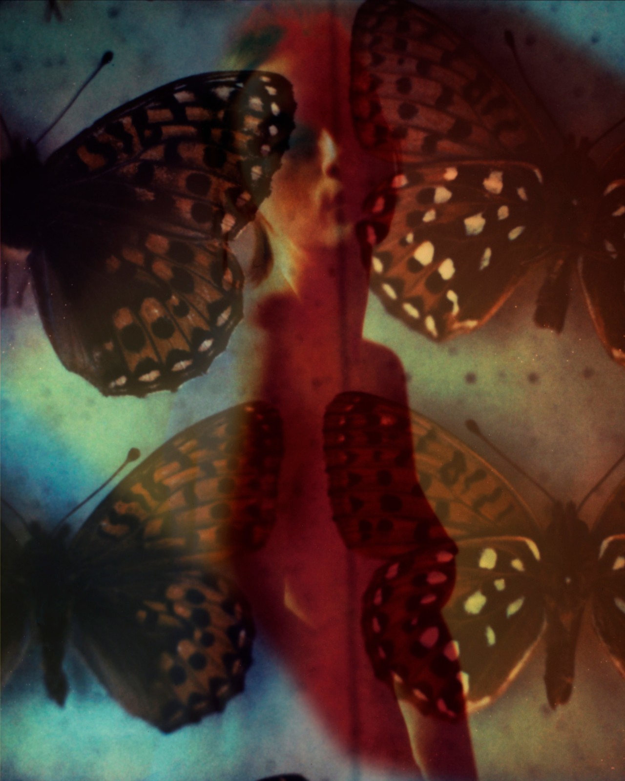 Butterfly wing by Gareth McConnell