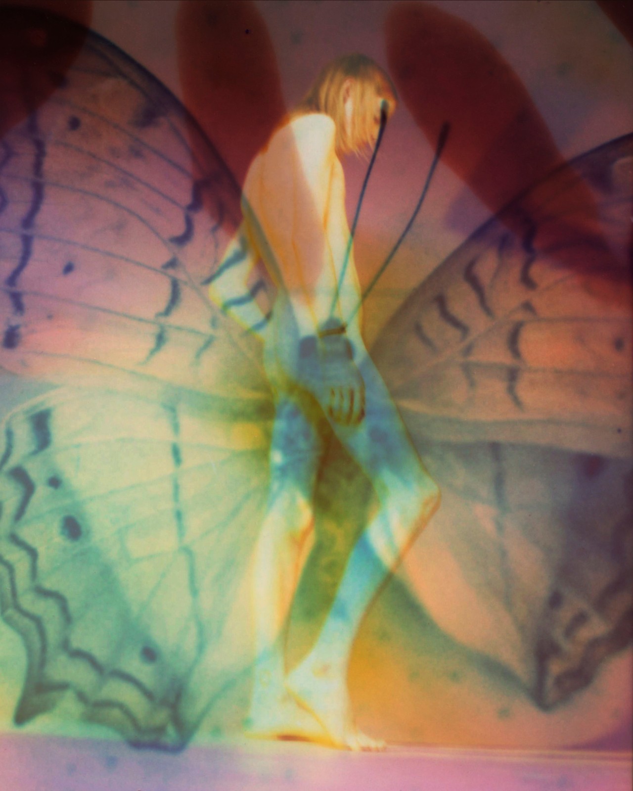 Butterfly wing by Gareth McConnell