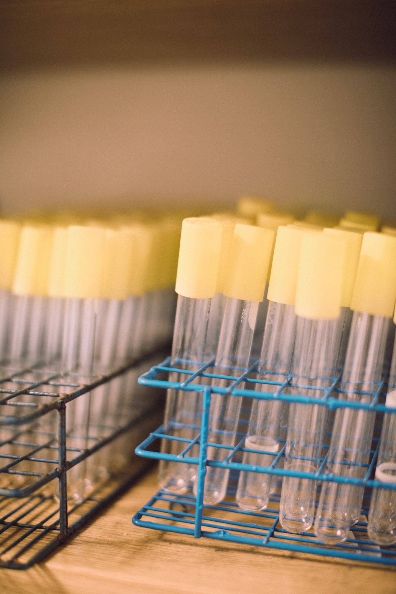Empty test tubes in lab by Rich Gilligan