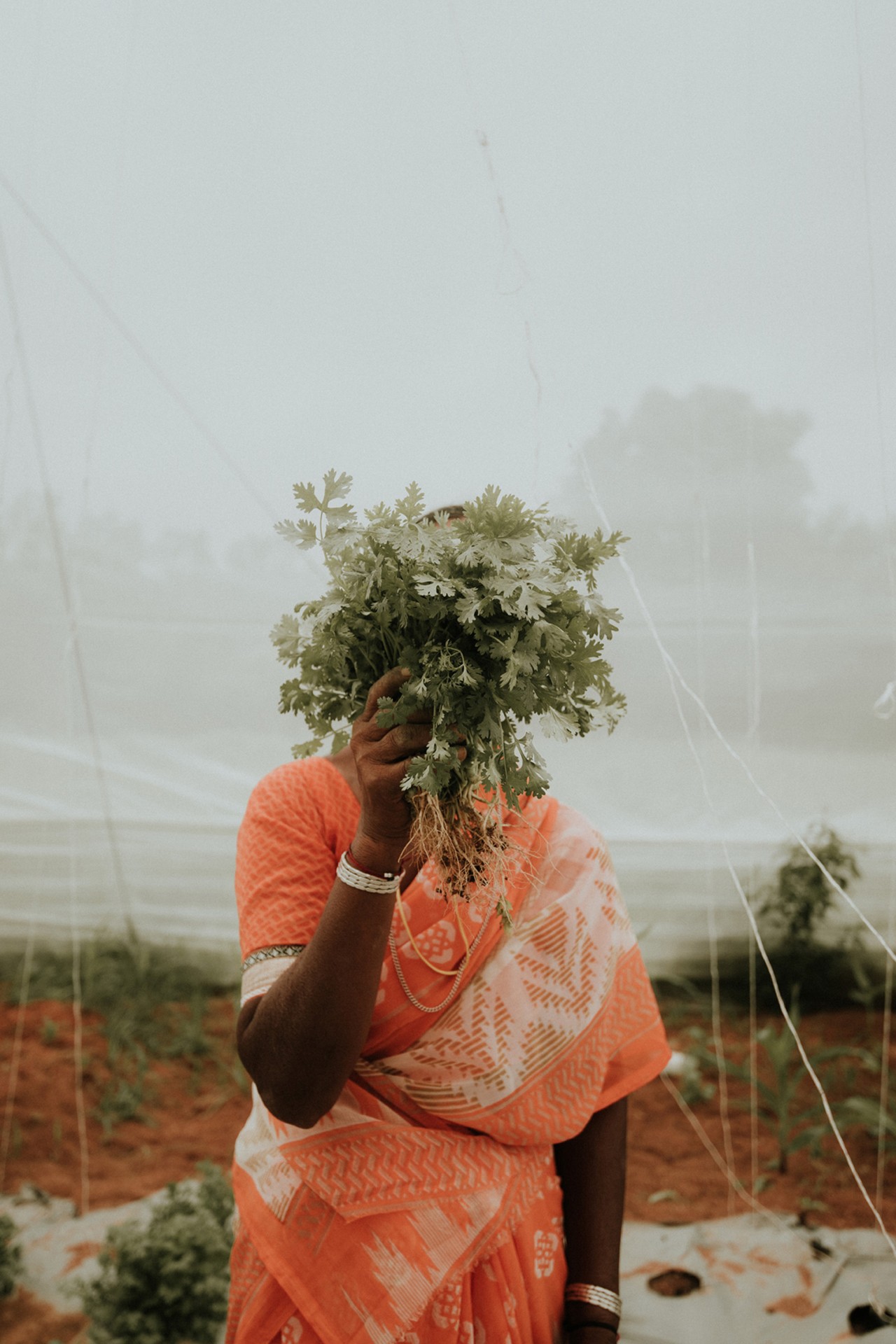 Woman with herbs by Rishabh Malik