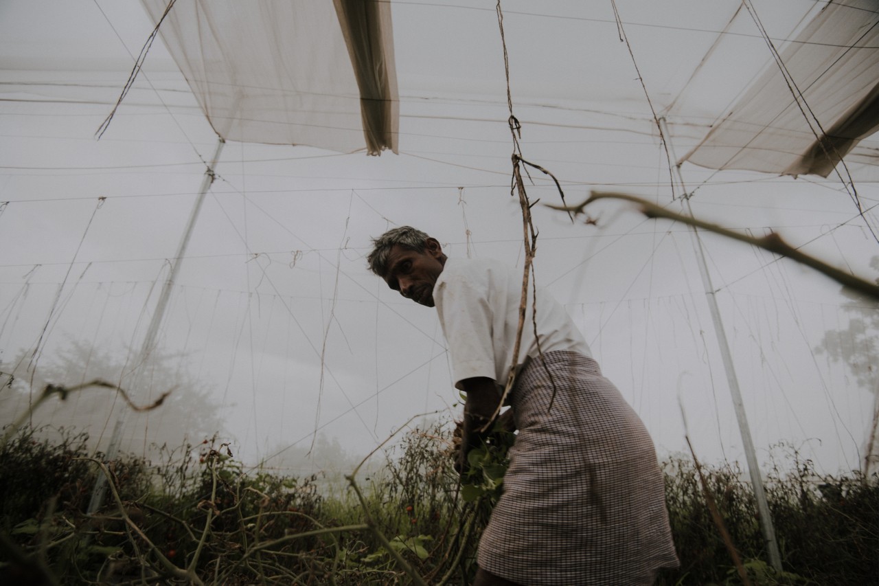 Man working in field by Rishabh Malik