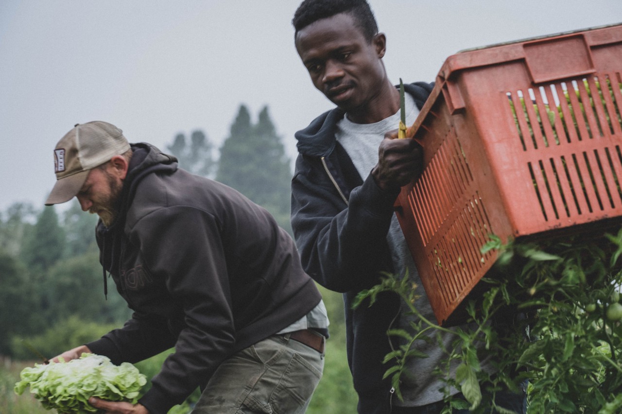 Compost workers by Aerofarms
