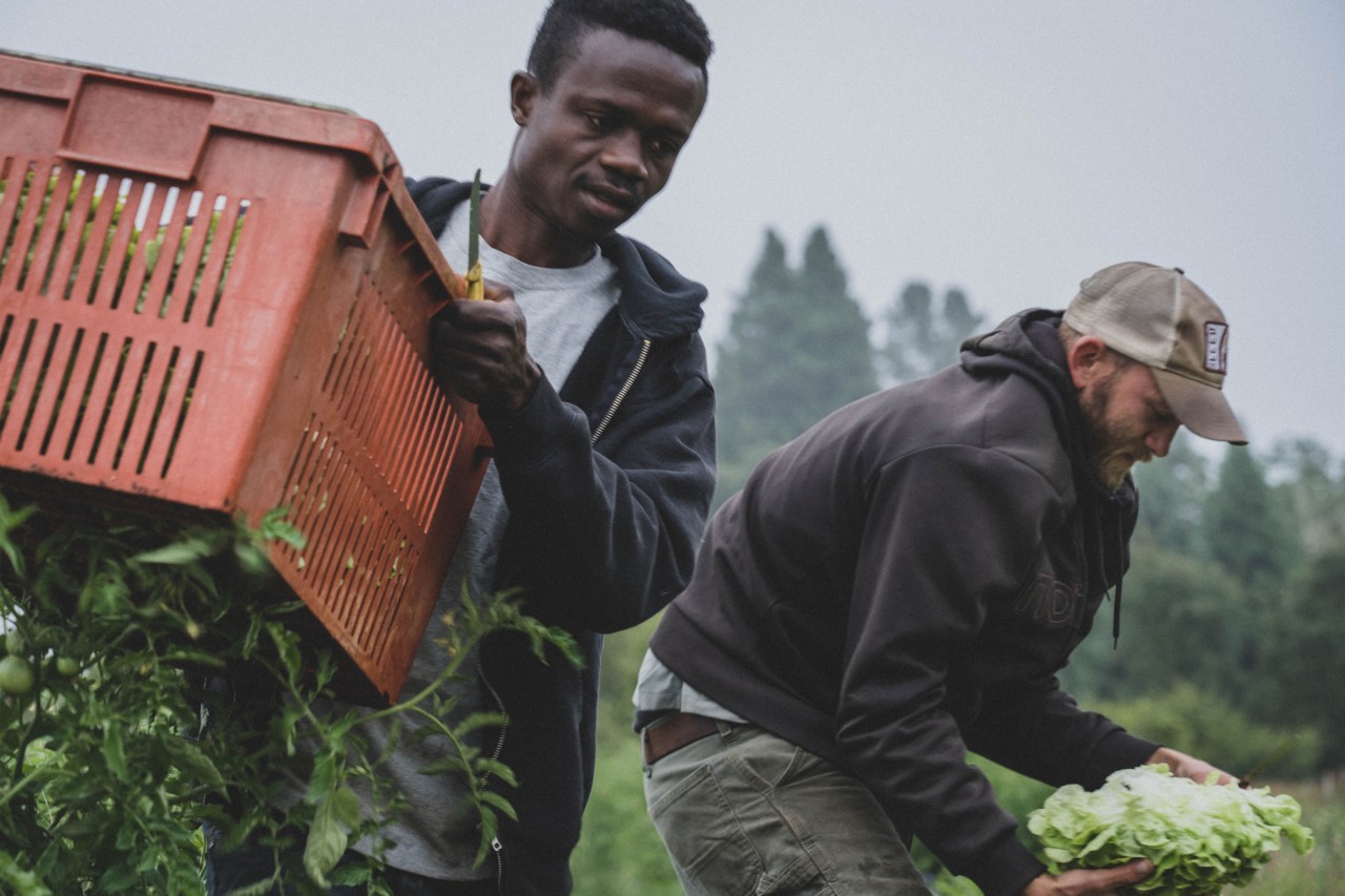 Compost workers by Aerofarms