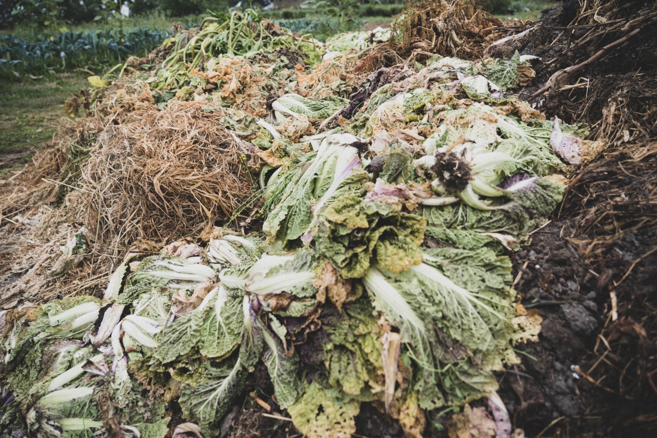 Regenerative agriculture by Aerofarms