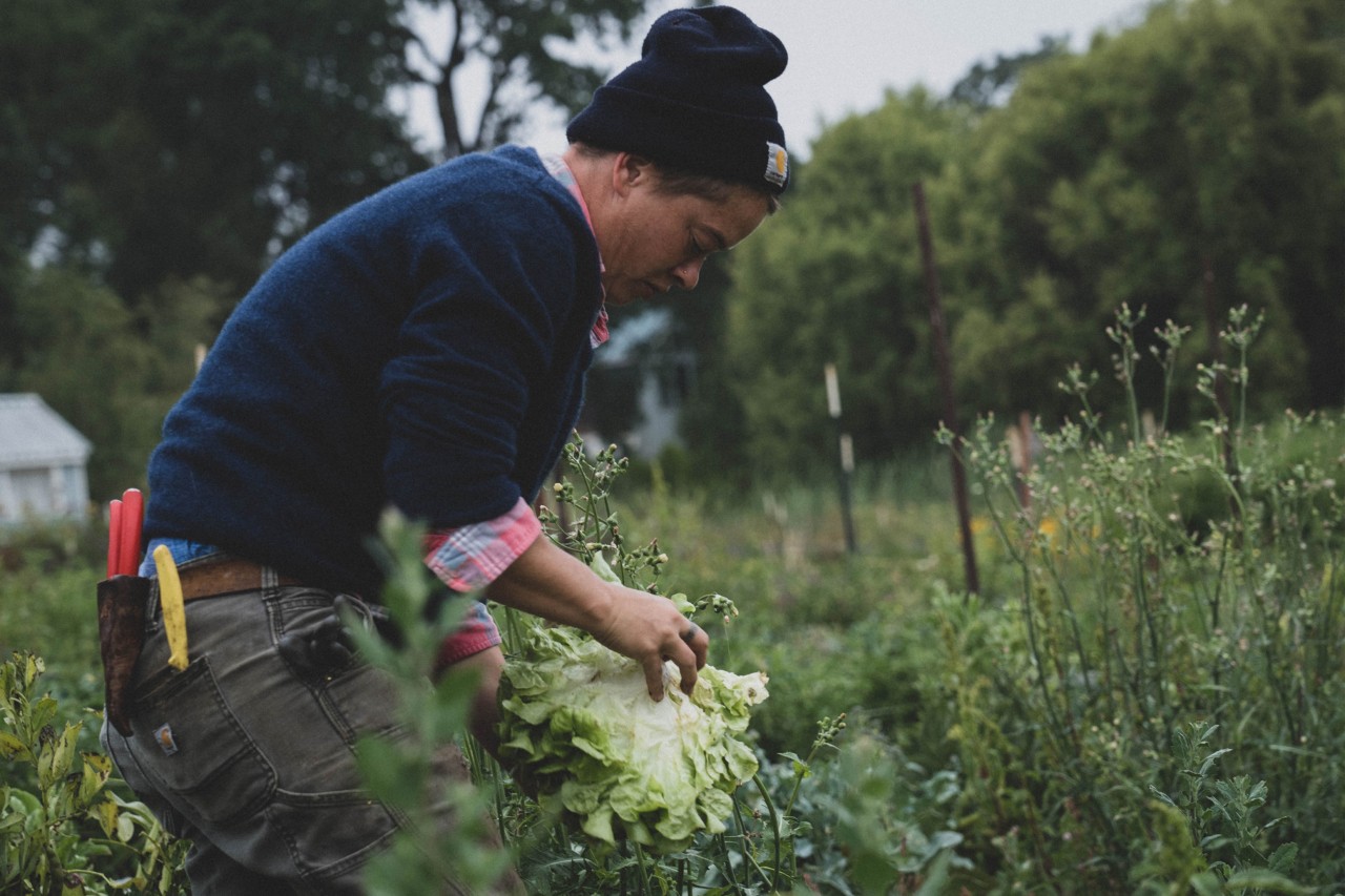 Regenerative agriculture worker by Aerofarms