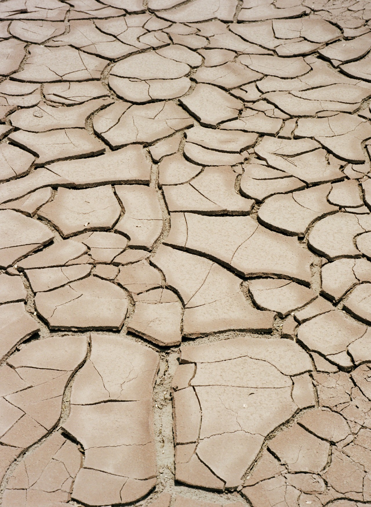 Desert floor landscape by Jess Gough