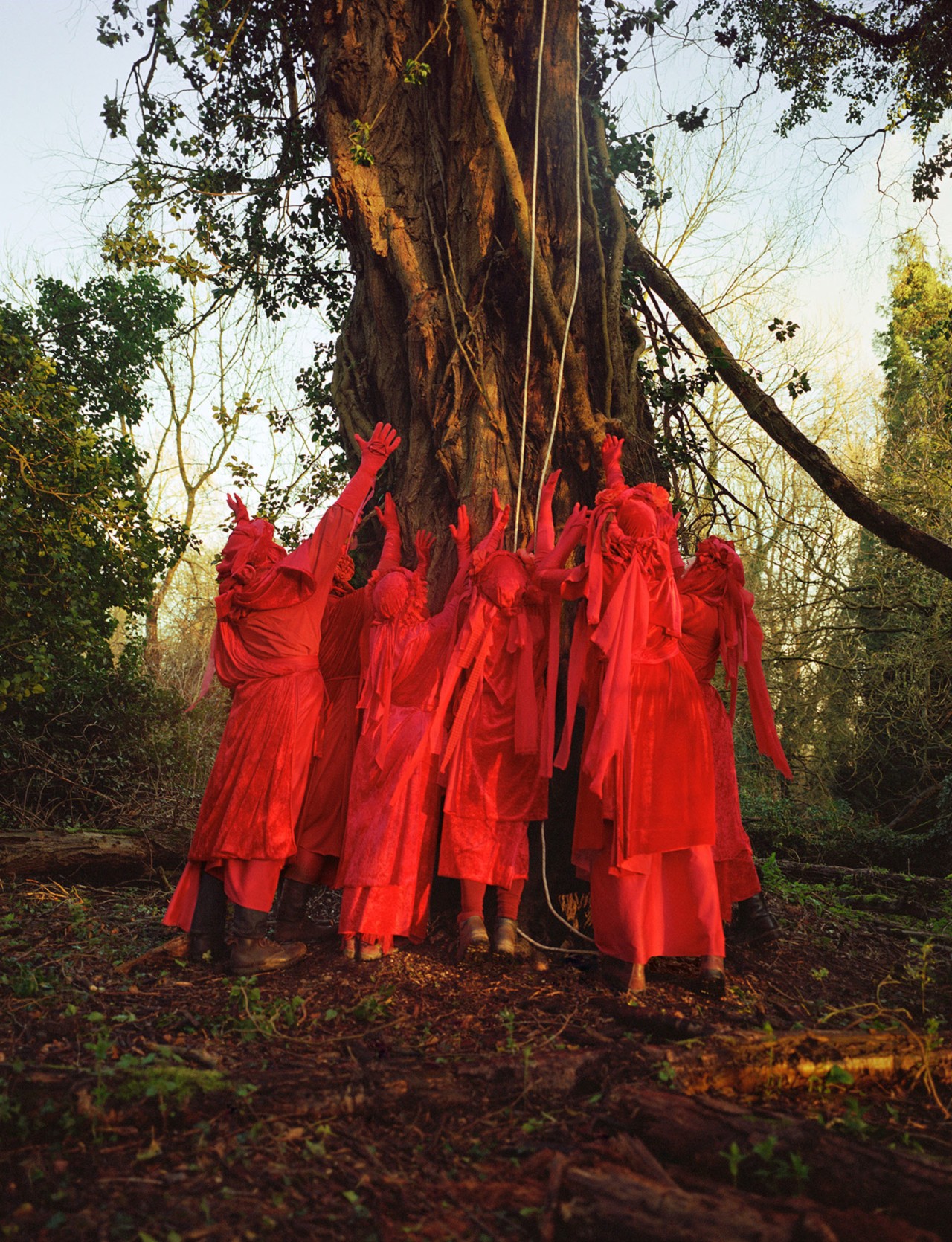 Red Rebel Brigade forest group photo by Ben Toms