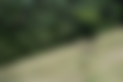 Deforestation aerial photography by Daniel Beltra