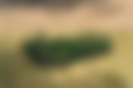 Deforestation aerial photography by Daniel Beltra