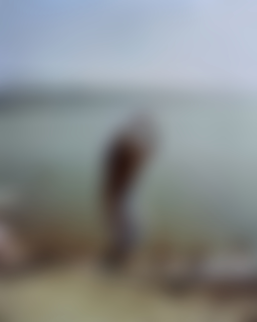 People along the Ganges River in India by Ashish Shah