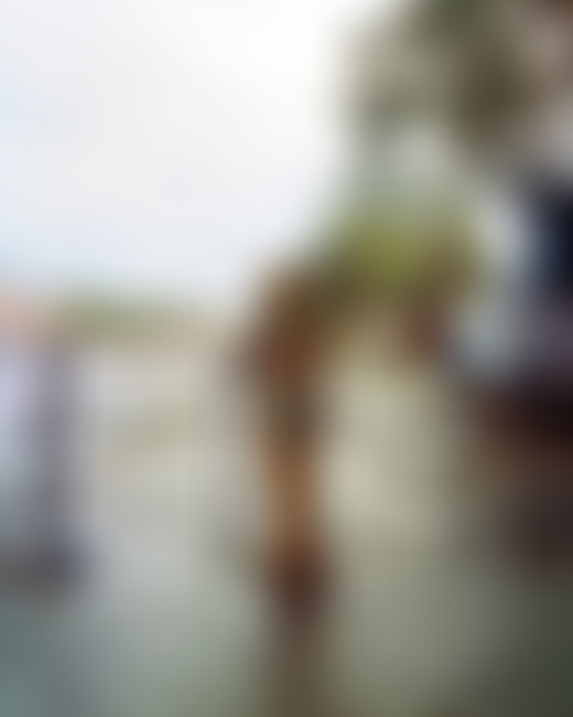 Statue on the Ganges River in India by Ashish Shah