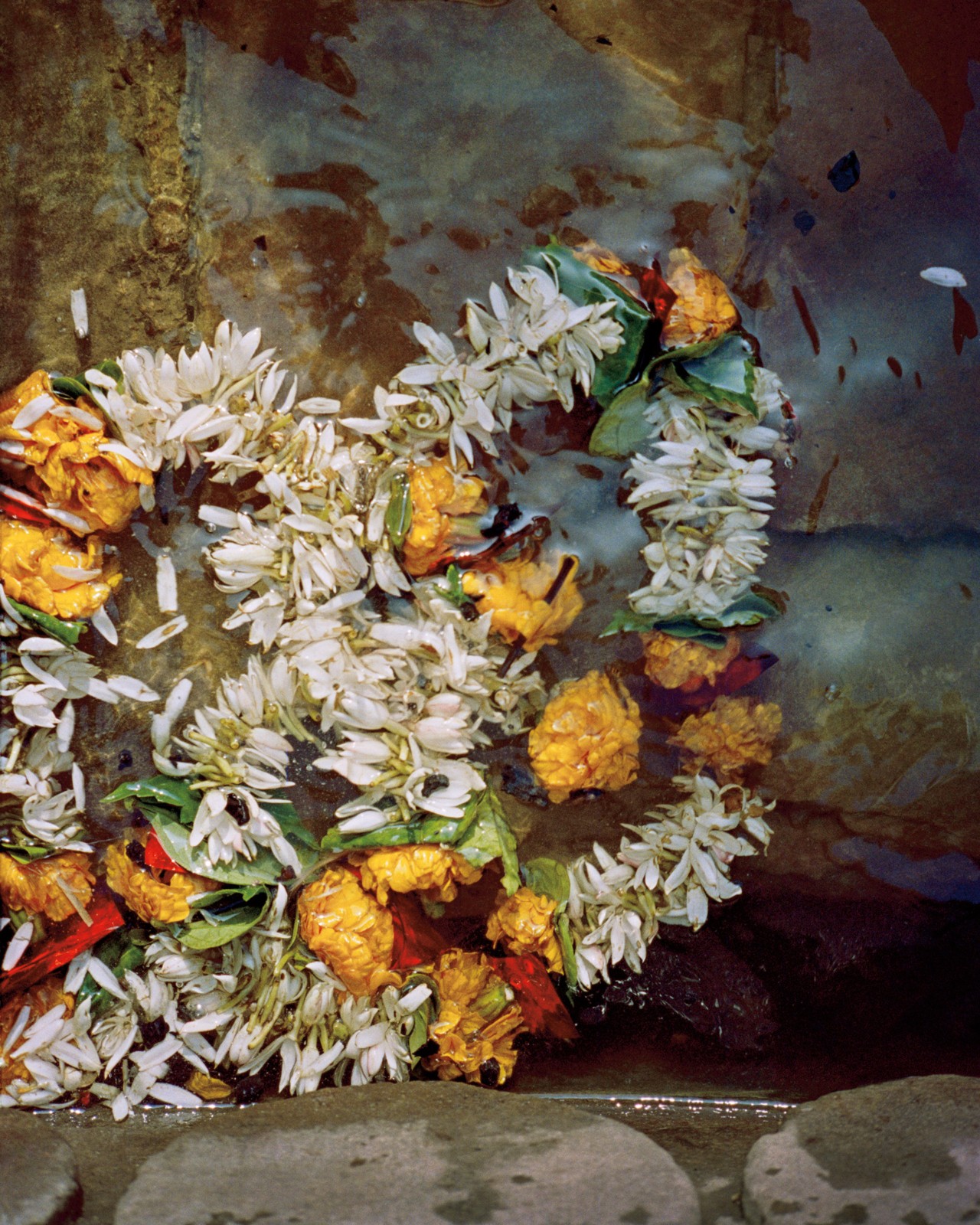 Flowers along the Ganges River in India by Ashish Shah