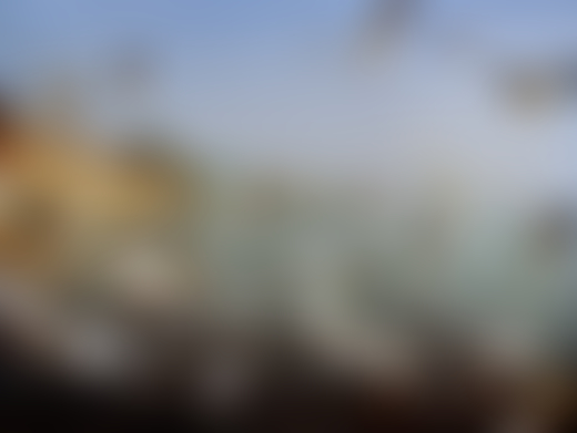 Birds fly along the Ganges River in India by Ashish Shah