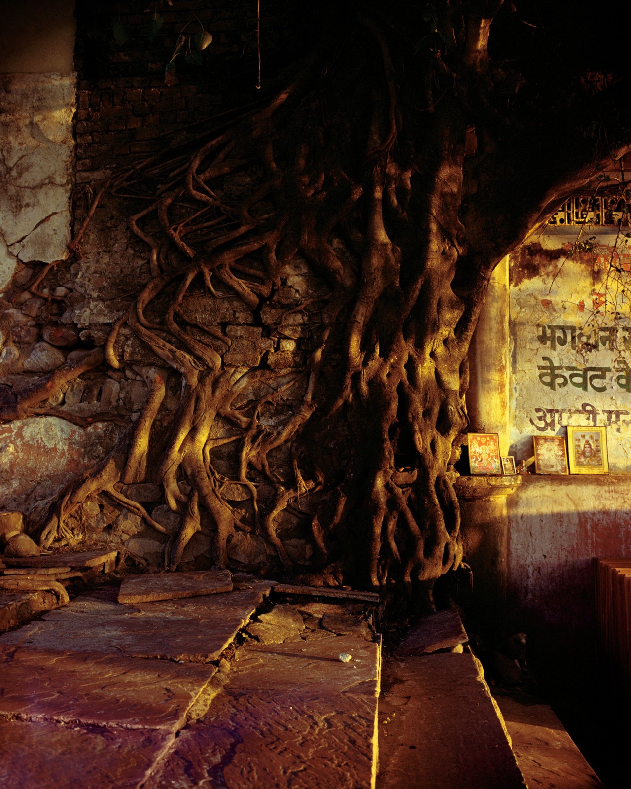 The Ganges River in India by Ashish Shah