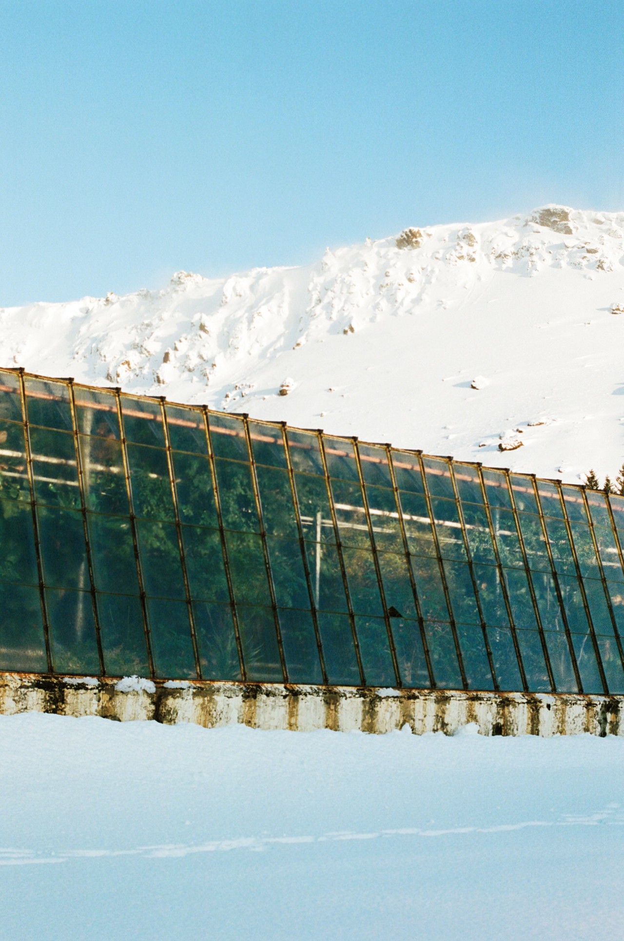 Greenhouse in Iceland by Jeremy Everett
