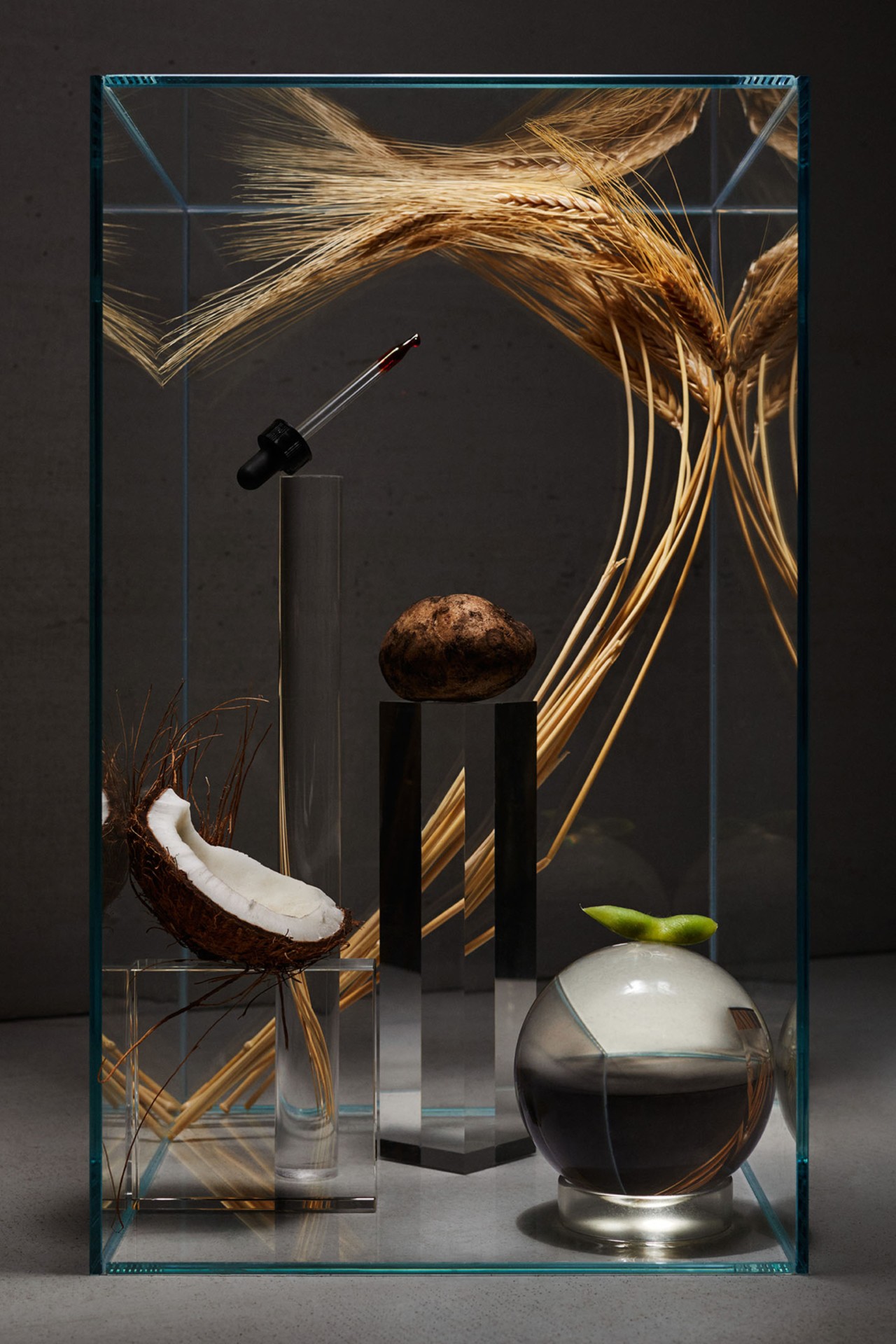 Impossible Burger ingredients still life by Pippa Drummond