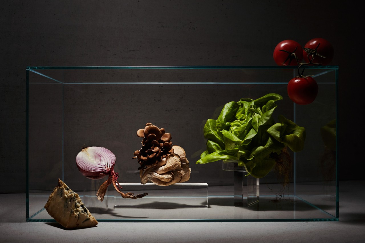 Impossible Burger ingredients still life by Pippa Drummond