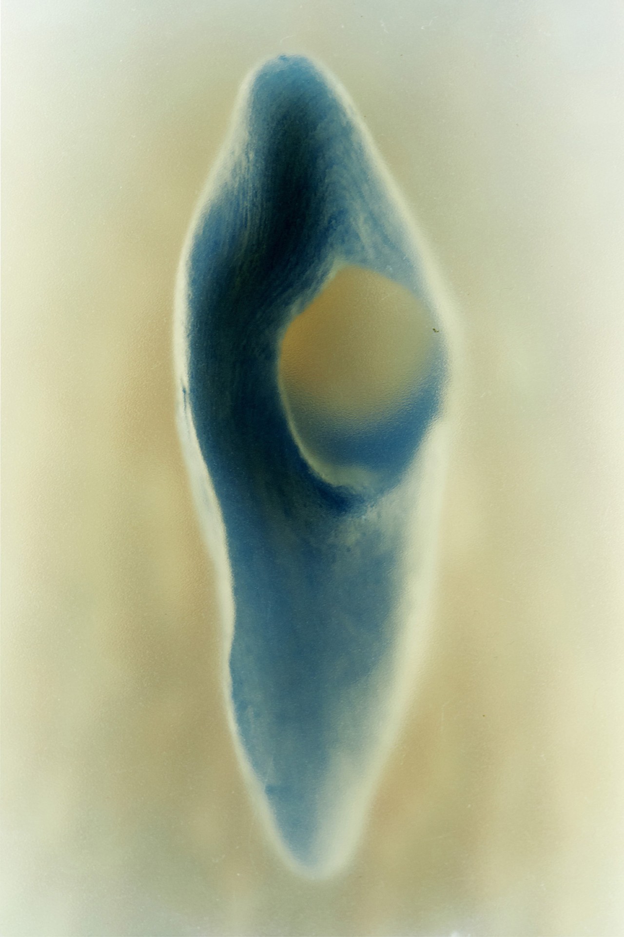 Light synthesis photography by Alexandra Von Fuerst