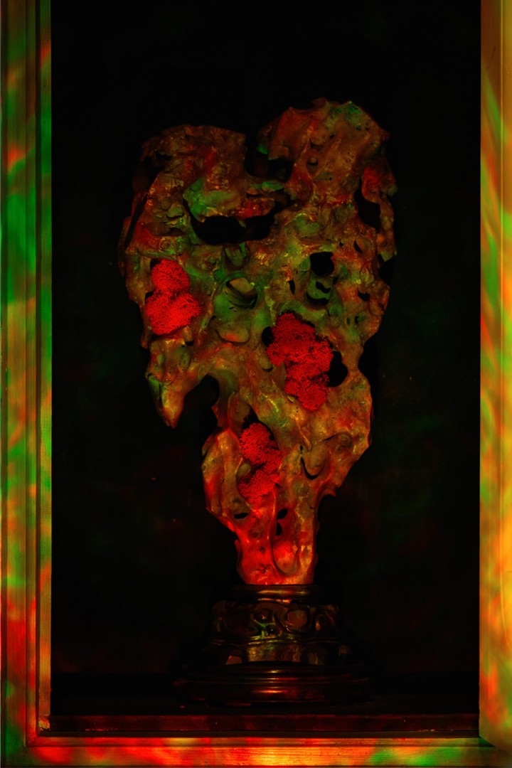 hero gallery image 8