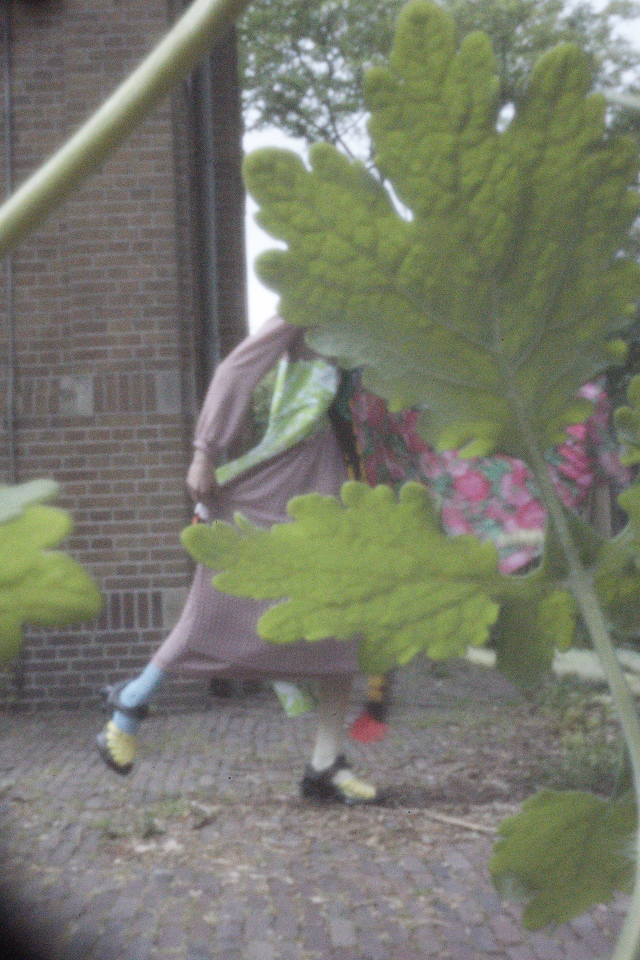Fashion in Netherlands by Blommers and Schumm