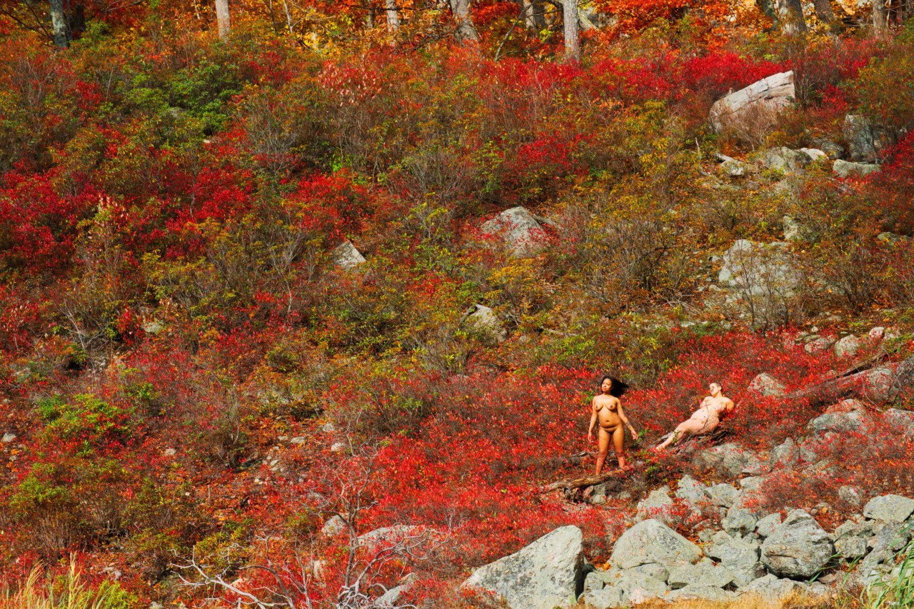Two models on rocks in red forest by Ryan McGinley